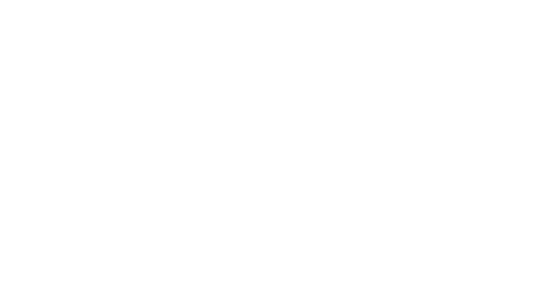 ANKOSLink Logo